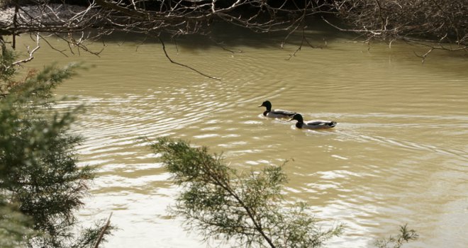 RZC 'Pionirska dolina' i zoo vrt zatvorena za posjetioce do daljnjeg