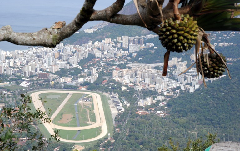 brazil nova