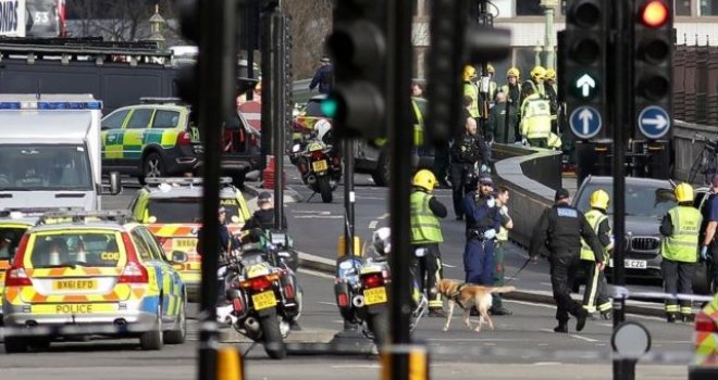 U pretresima nakon napada u Londonu uhapšeno sedam osoba