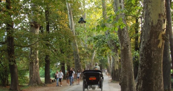 Nova nesreća na Ilidži: Automobilom udario državljanku Omana pa pobjegao