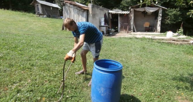 Poljoprivrednici uznemireni: Sunce i proljetne temperature izmamile zmije iz zimskih skloništa