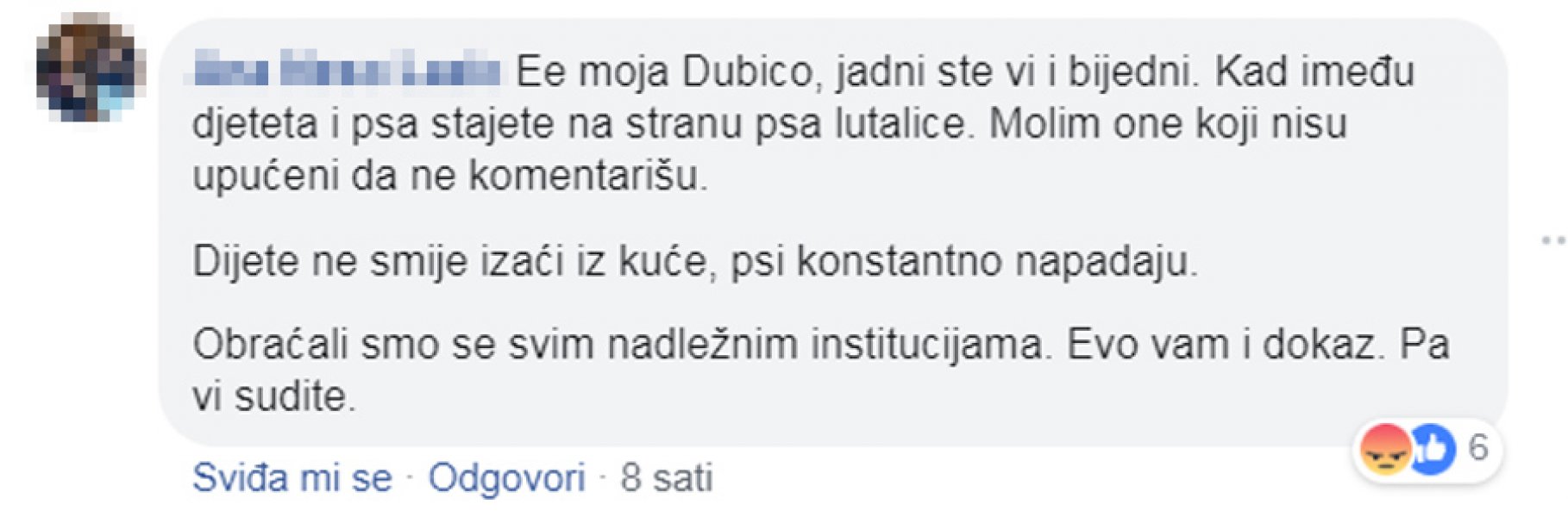 ana-l-kozarska-dubica-ubistvo-psa