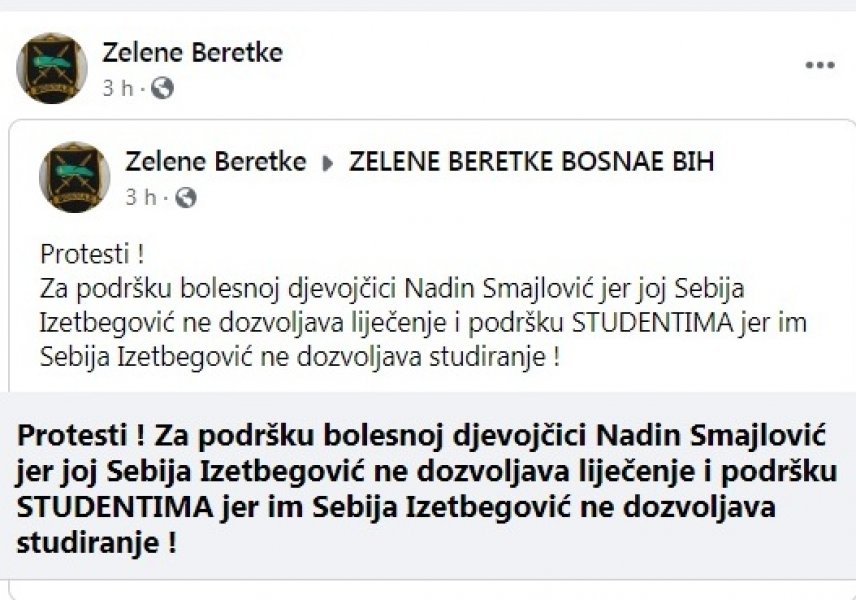 zelene-beretke-anketa