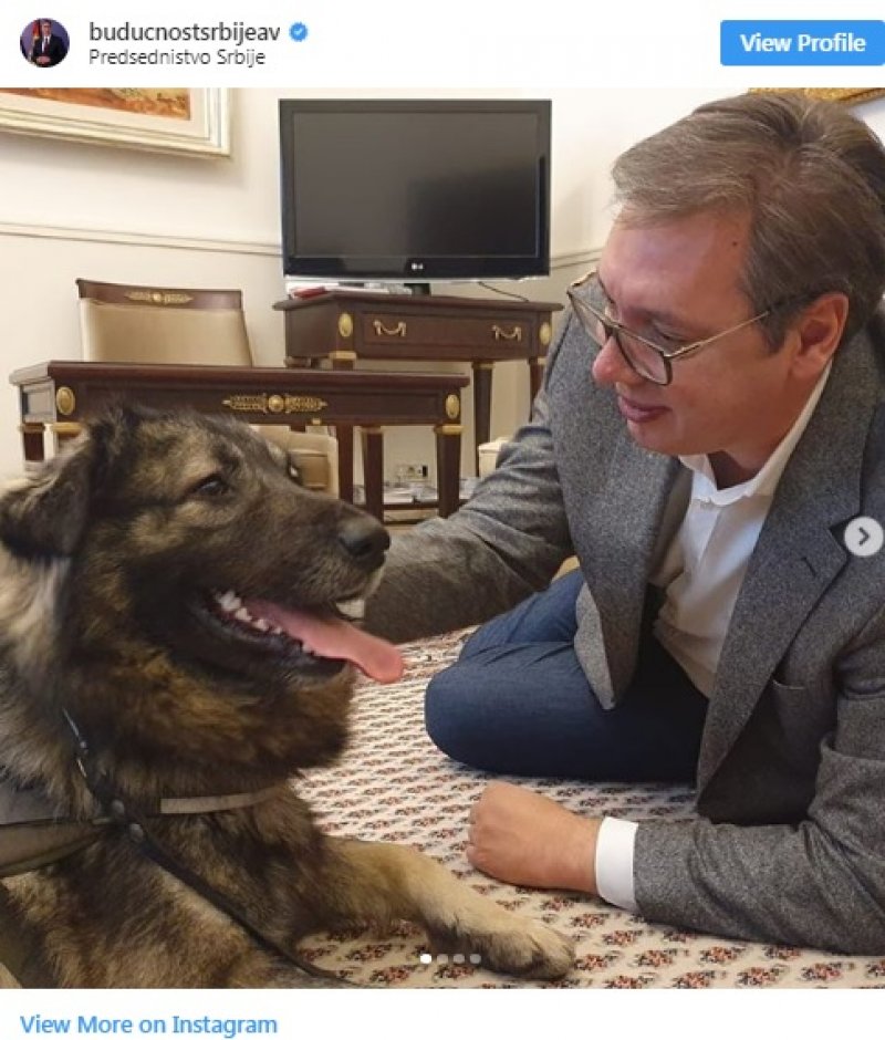 vucic-i-pako