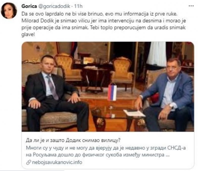 gorica-dodik-tvit1