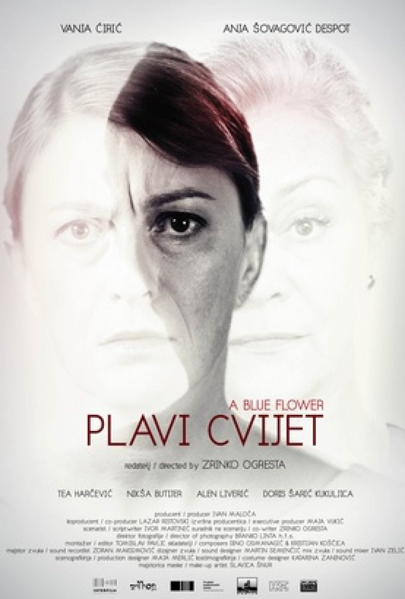 plavi-cvijet