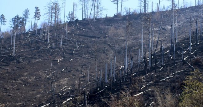 Kiša popravila stanje na požarištu u Jablanici, i dalje gori u Mostaru i Stocu