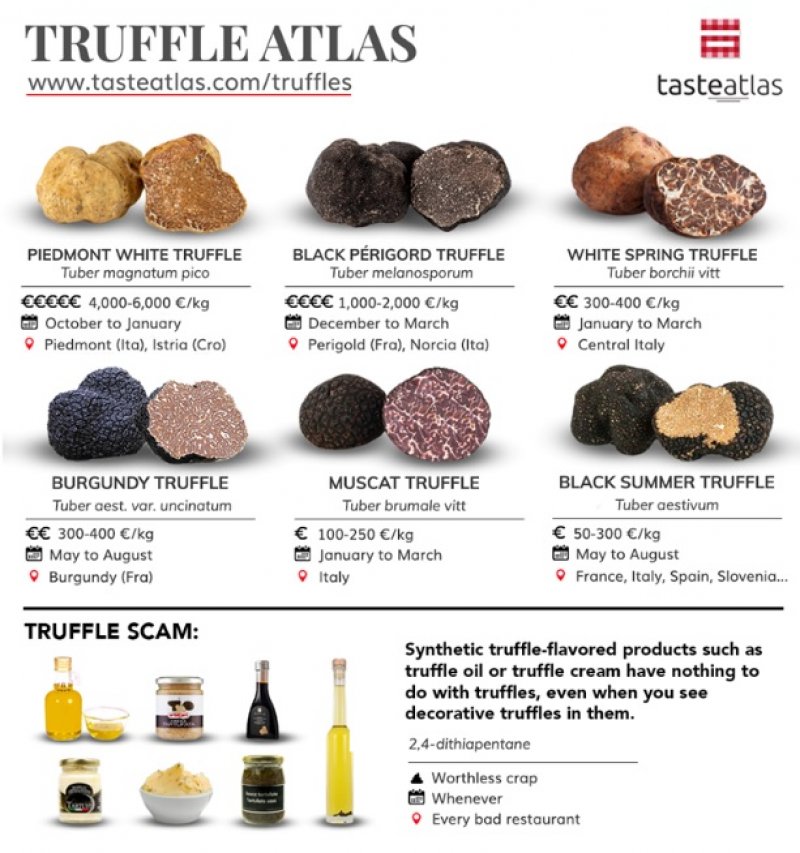 tartufi-infografika