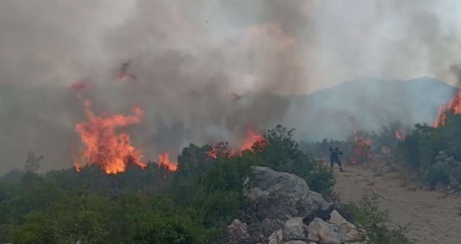 Požar kod Neuma nije pod kontrolom, ugrožene kuće, stradao velik broj maslinika