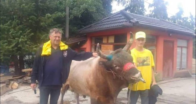 Korida u Olovskim Lukama: Medonja još jednom dokazao zašto je apsolutni pobjednik, vlasnik neće da ga proda ni pod razno!