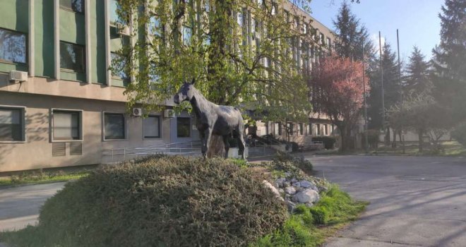 Studenti Veterinarskog fakulteta Sarajevo zaraženi Q groznicom: Praksa na farmi u Bojniku obustavljena