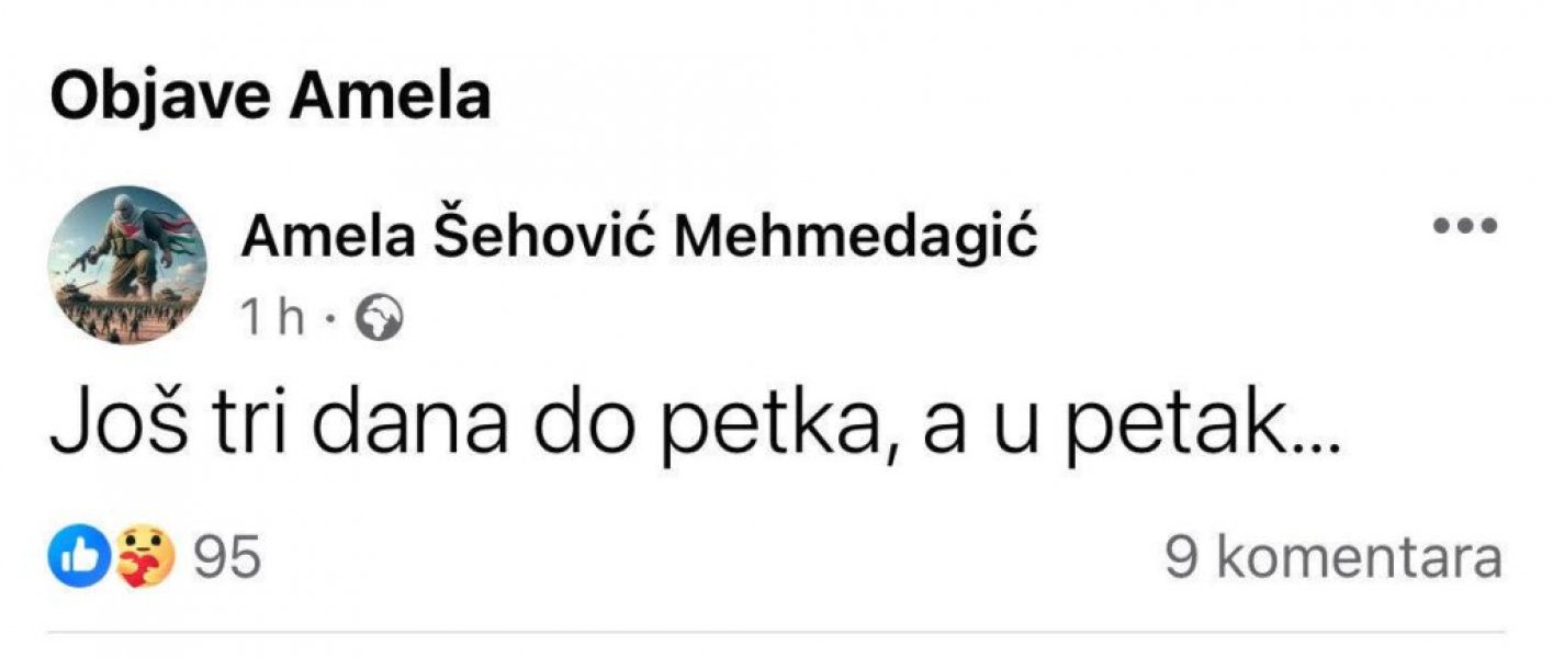 amela-sehovic-mehmedagic-status