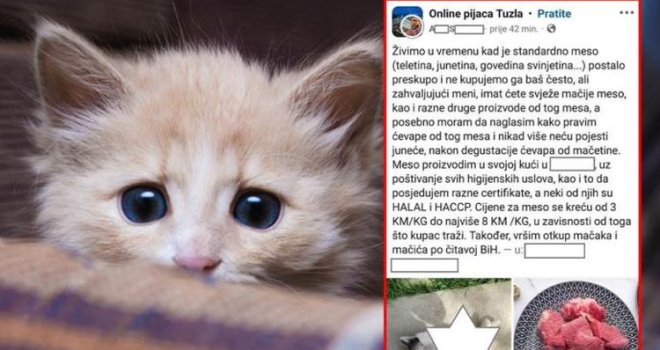 'Pravim ćevape od mačjeg mesa, kilogram mačetine 3 marke': Jezivi oglas u Facebook grupi 'Online pijaca Tuzla' zgrozio region