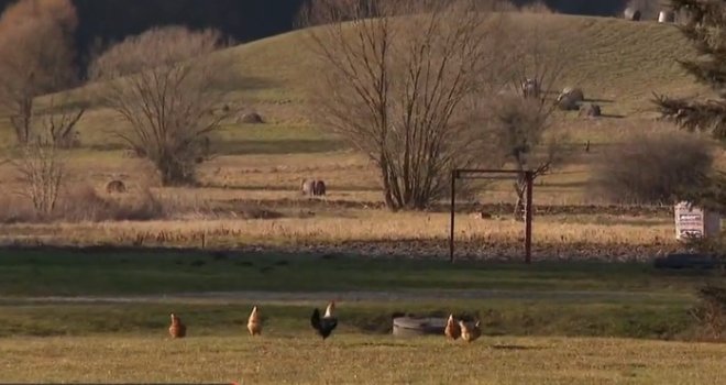 Šok u susjedstvu, vremešna gospođa naoružana do zuba! Komšije u nevjerici: 'Ili je radila za nekoga, ili...'